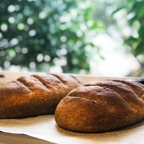 Hemp Flour Recipes Homemade Hemp Seed Bread New Hemisphere